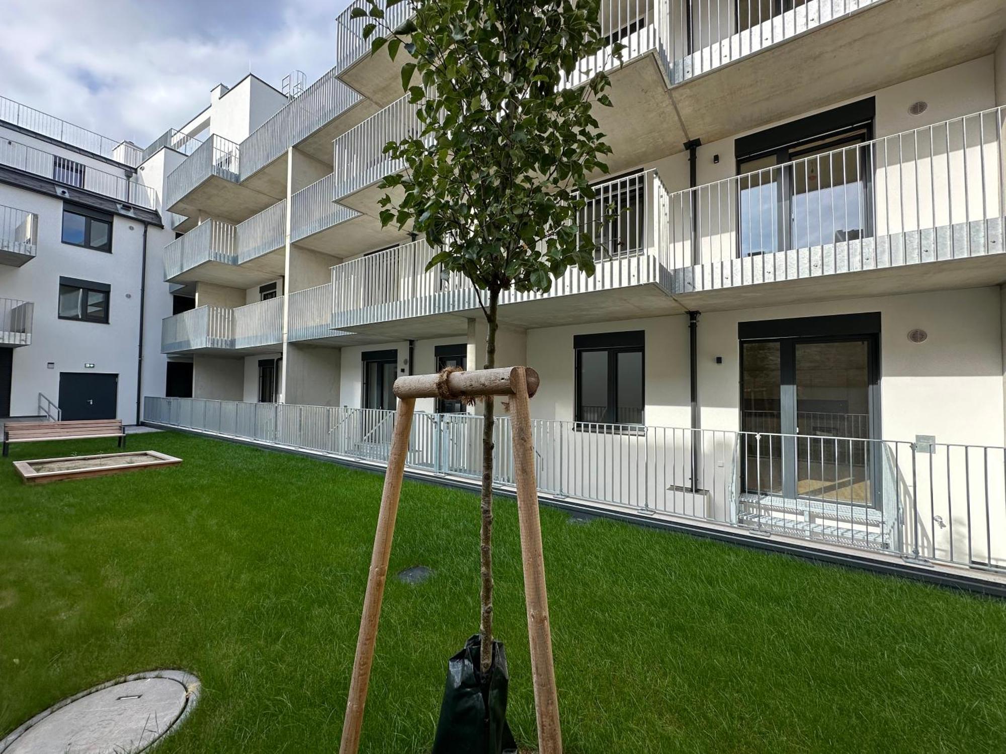 Schoenbrunn Garden Apartments فيينا المظهر الخارجي الصورة